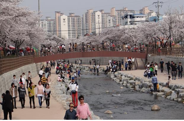 시민들이 만개한 벚꽃과 맑은 물소리를 들으면 봄을 만끽하고 있다. (사진제공=국토부)